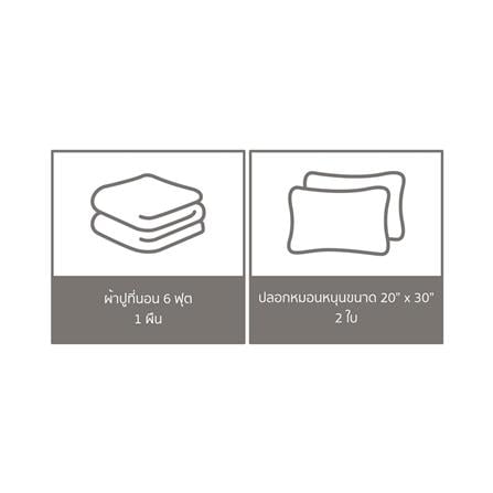 ชุดผ้าปูที่นอน 6 ฟุต (ชุด 3 ชิ้น) PERICO WE BARE BEARS P053_5