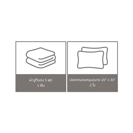 ชุดผ้าปูที่นอน 5 ฟุต (ชุด 3 ชิ้น) PERICO WE BARE BEARS P052_5