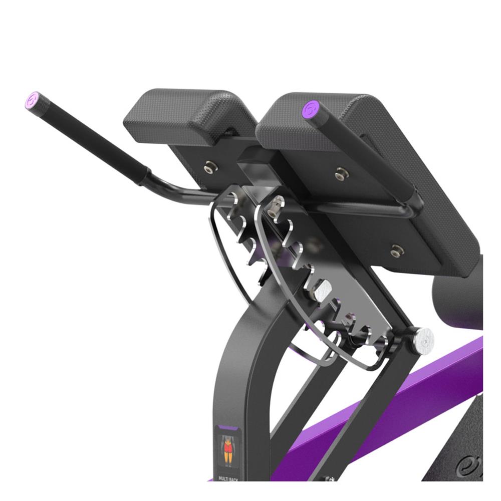 PEACHBUILDER MULTI HIP EXTENSION IVADE