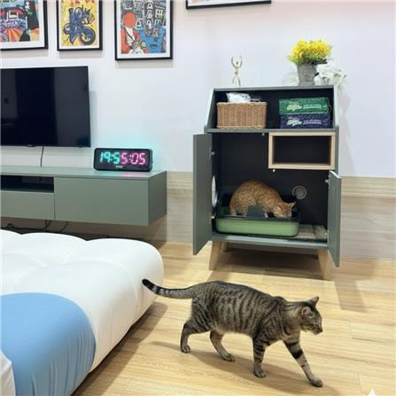 ตู้เตี้ย บานผสม TOMATO CATZ TC-CC-AL-02 62.5 ซม. สีเขียว_3