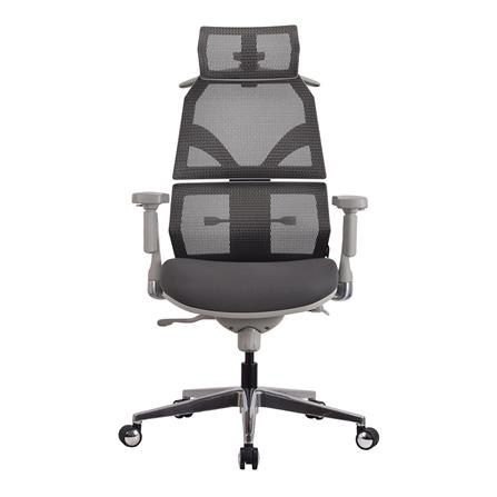 เก้าอี้สุขภาพ ERGOTREND MALMO สีเทา_1