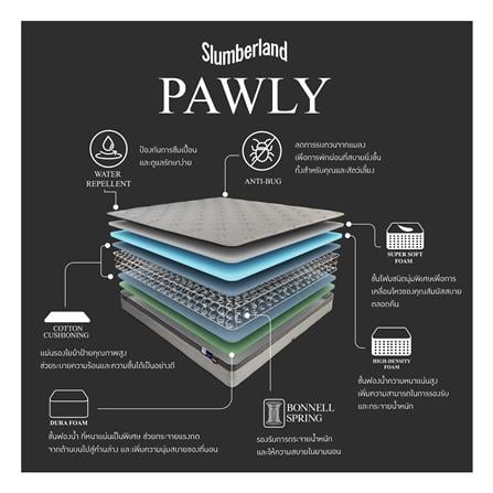 ที่นอน 5 ฟุต SLUMBERLAND PAWLY_7