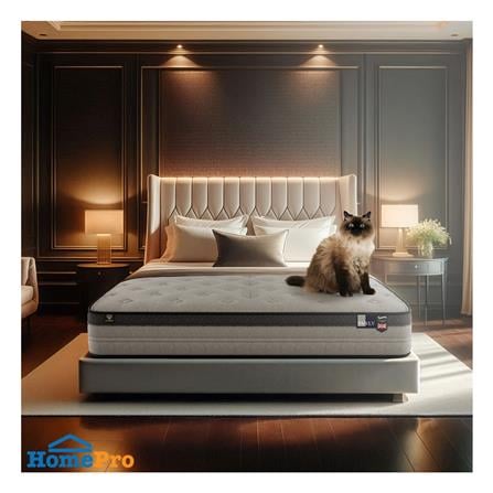 ที่นอน 5 ฟุต SLUMBERLAND PAWLY_5