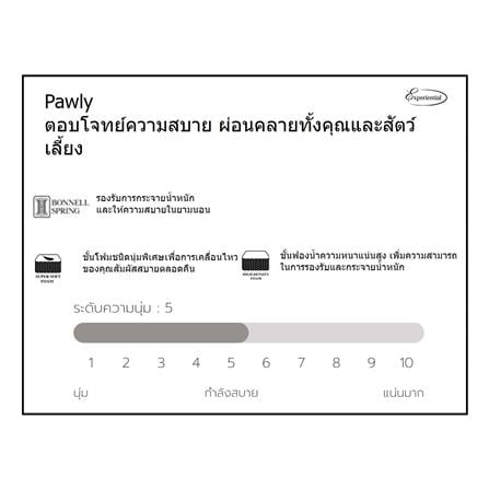 ที่นอน 5 ฟุต SLUMBERLAND PAWLY_8