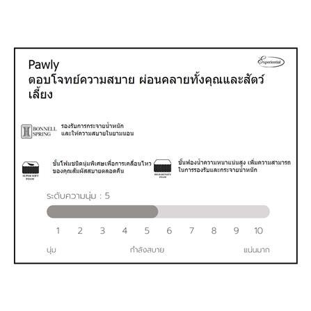 ที่นอน 6 ฟุต SLUMBERLAND PAWLY_8