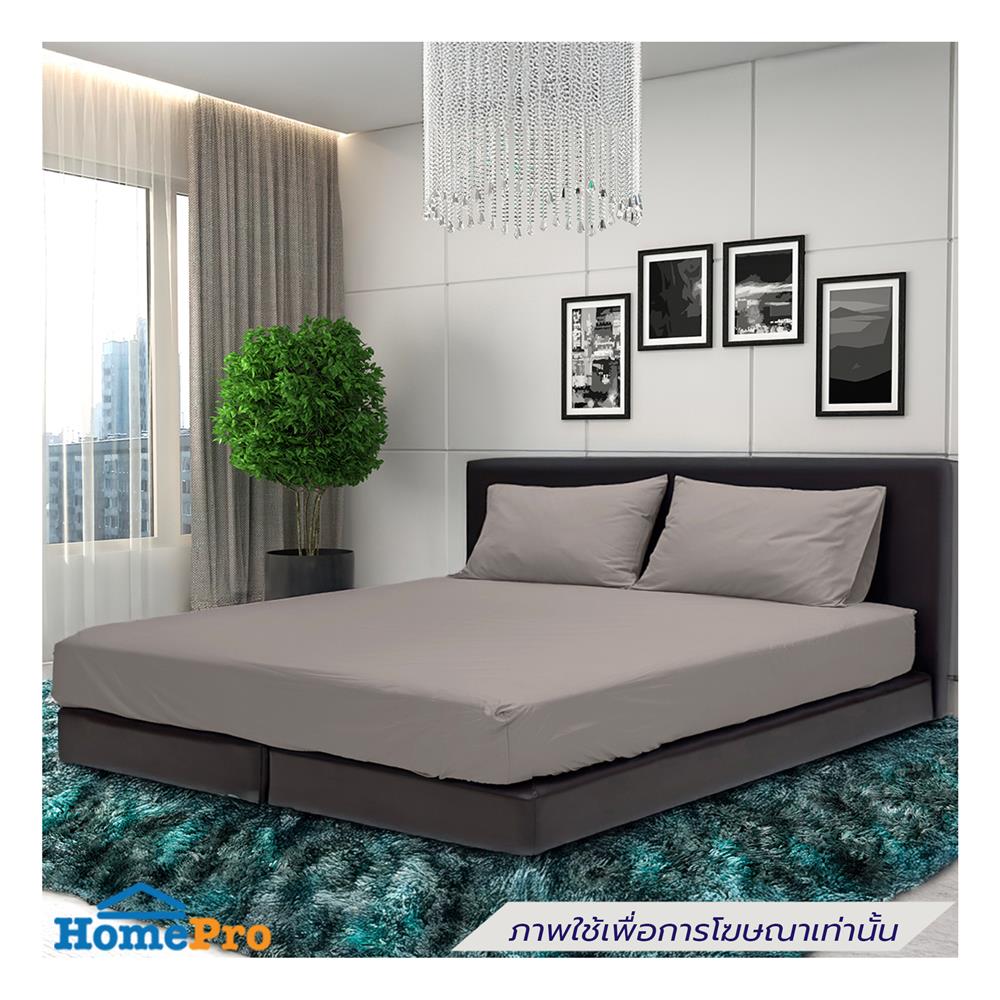 ชุดผ้าปูที่นอน 6 ฟุต (ชุด 5 ชิ้น) STEVENS PURE COTTON DN21BI