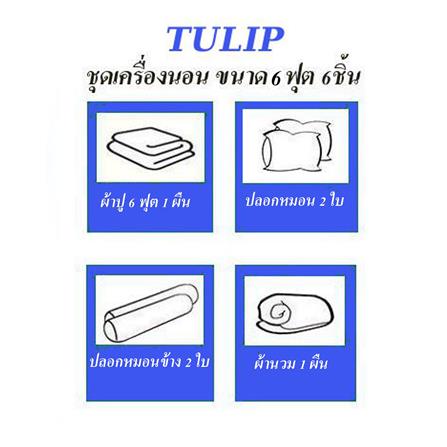 ชุดผ้าปูที่นอน 6 ฟุต (ชุด 6 ชิ้น) TULIP DELIGHT 60239-DL593_4
