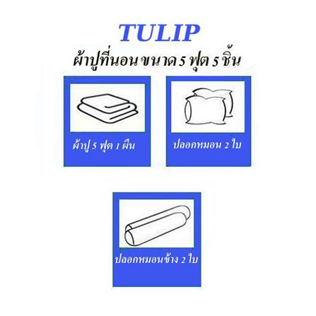 ชุดผ้าปูที่นอน 5 ฟุต (ชุด 5 ชิ้น)  TULIP DELIGHT 60057-DL597_4
