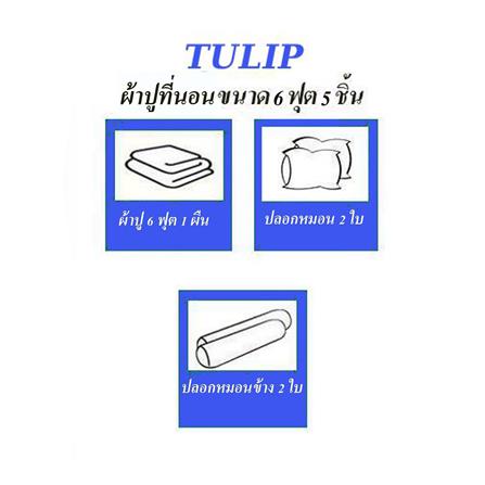 ชุดผ้าปูที่นอน 6 ฟุต (ชุด 5 ชิ้น)  TULIP DELIGHT 60056-DL597_4