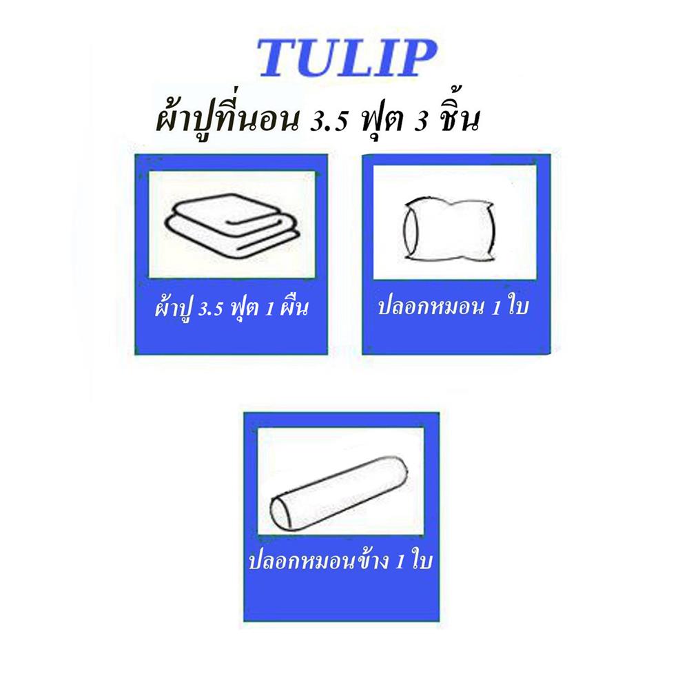ชุดผ้าปูที่นอน 3.5 ฟุต (ชุด 3 ชิ้น) TULIP DELIGHT 60058-DL597