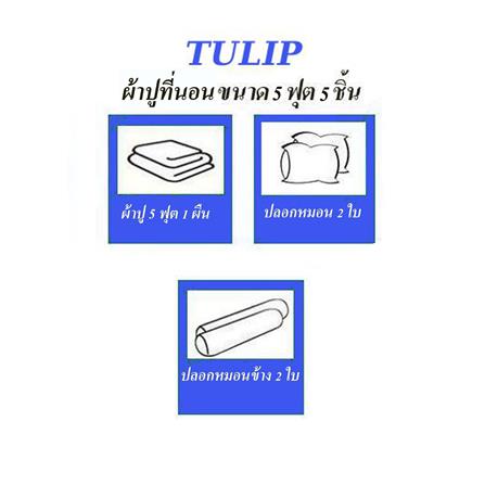 ชุดผ้าปูที่นอน 5 ฟุต (ชุด 5 ชิ้น)  TULIP DELIGHT 60057-DL593_4