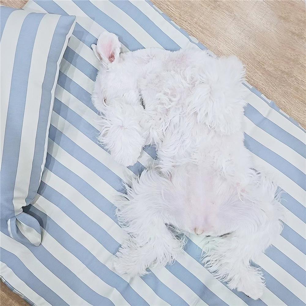 เบาะสุนัข พร้อมปลอก BED CARE FOR PET WR MINI ริ้วครีมฟ้า