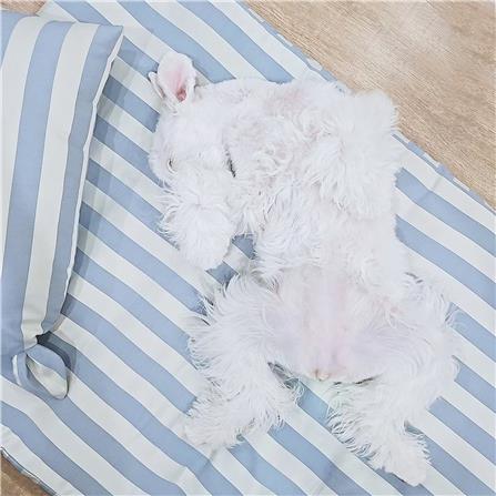 เบาะสุนัข พร้อมปลอก BED CARE FOR PET WR MINI ริ้วครีมฟ้า_1