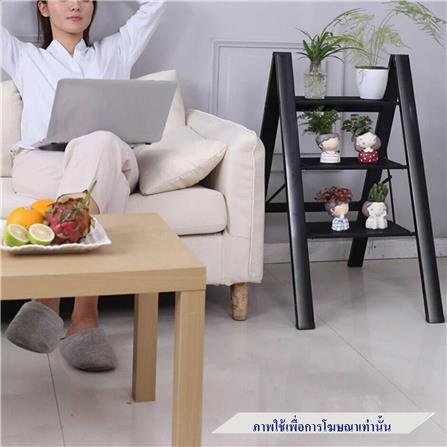 บันได STEP 6 ขั้น BARCO POHL-006 สีดำ_1