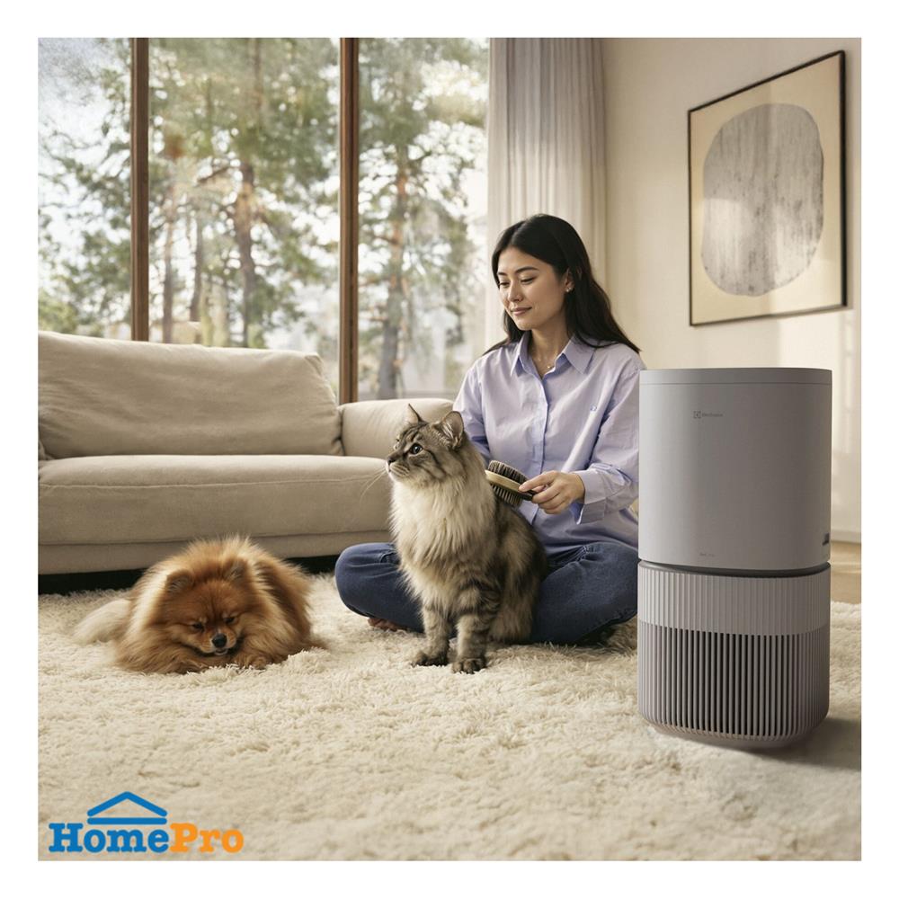 เครื่องฟอกอากาศ ELECTROLUX EP53-45UGB 56 ตารางเมตร