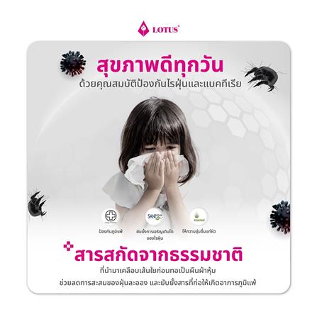 หมอนข้างสุญญากาศ ใยสังเคราะห์ LOTUS สีขาว (1 แถม 1)_6