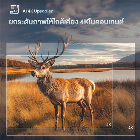 ทีวีคิวแอลอีดี 55 นิ้ว HISENSE (4K, QLED, VIDAA) 55E7Q_8