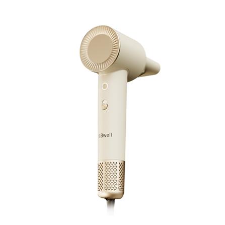 ไดร์เป่าผม BWELL BDR-02 สีแชมเปญ_4