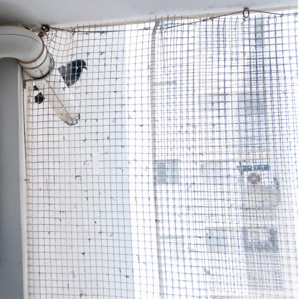 ติดตั้งตาข่ายกันนกแบบถอดได้น้อยกว่า 6 ตร.ม.