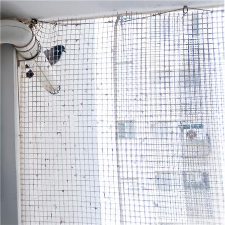 ติดตั้งตาข่ายกันนกแบบถอดได้น้อยกว่า 6 ตร.ม._0